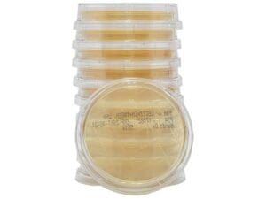 Stack of transparent containers filled with light brown powder.
