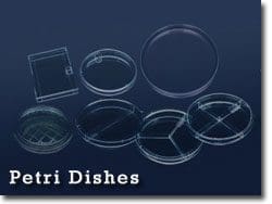Various clear glass petri dishes on a dark surface.